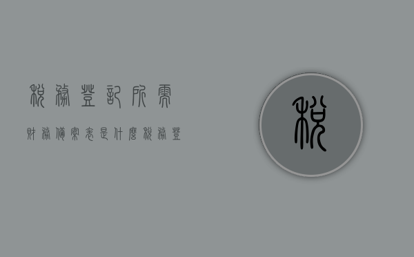 税务登记所需财务备案表是什么（税务登记所需财务备案表是什么样的），税务登记所需财务备案表详解，内容、格式及要求全知道，税务登记财务备案表详解，内容、格式、要求及样式全知道，税务登记财务备案表详解，内容、格式、要求及样式指南