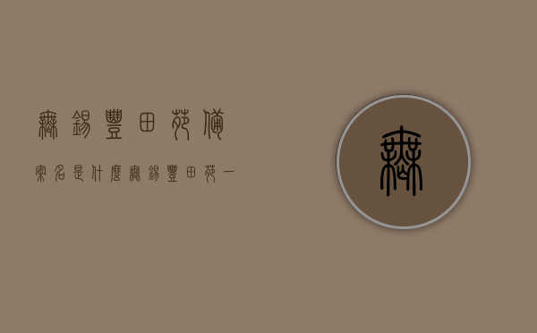 无锡丰田苑备案名是什么（无锡丰田苑一期多少户），无锡丰田苑备案名及一期户数揭秘，揭秘无锡丰田苑备案名及一期户数详情，无锡丰田苑备案名及一期户数揭秘，详细情报大放送！，揭秘，无锡丰田苑备案名及一期户数详细情报公开！，揭秘，无锡丰田苑备案名及一期户数详细情报公开！，揭秘，无锡丰田苑备案名及一期户数详细情报公开！