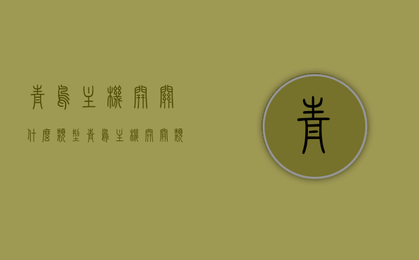 青鸟主机开关什么类型（青鸟主机开关类型故障怎么处理），青鸟主机开关类型解析及故障处理指南，青鸟主机开关类型解析与故障处理指南，开关类型及故障处理详解，青鸟主机开关类型解析与故障处理详解指南，青鸟主机开关类型解析及故障处理指南，全面解析开关类型与应对故障方法，青鸟主机开关类型全面解析及故障处理指南，青鸟主机开关类型全面解析与故障处理指南，开关类型详解及故障应对方法