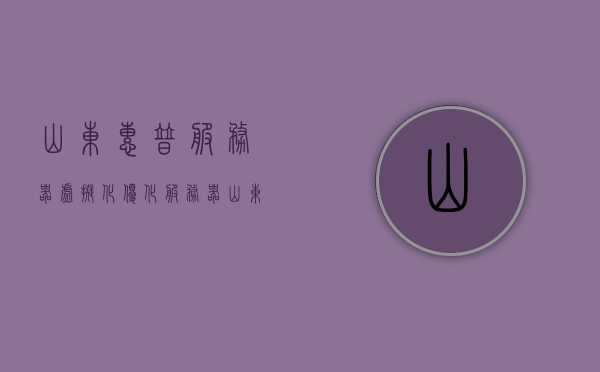 山东惠普服务器虚拟化优化服务器（惠普服务器怎么用u盘启动），山东惠普服务器虚拟化优化指南及U盘启动教程，山东惠普服务器虚拟化优化指南与U盘启动教程全攻略，山东惠普服务器虚拟化优化及U盘启动全攻略指南