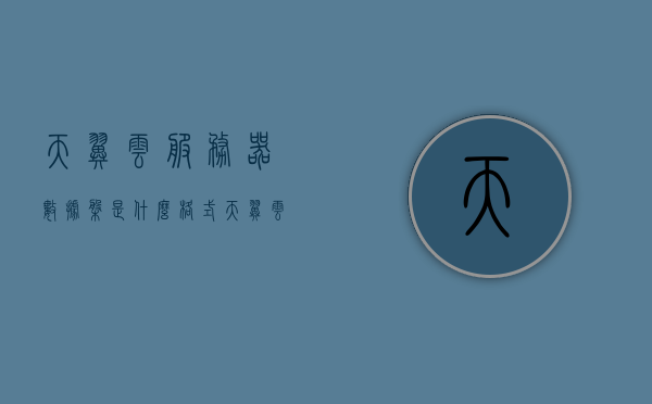 天翼云服务器数据盘是什么格式（天翼云盘服务器异常），天翼云服务器数据盘格式及云盘服务器异常解析