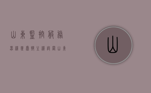 山东监控服务器机柜虚拟主机设置在哪（监控中心服务器平台搭建），山东监控中心服务器机柜虚拟主机设置详解，搭建与定位指南