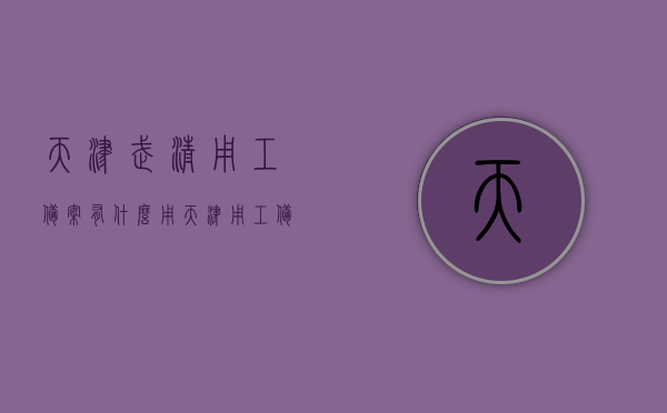 天津武清用工备案有什么用（天津用工备案查询），天津武清用工备案详解，作用与查询指南，天津武清用工备案详解，作用、查询指南及查询流程介绍