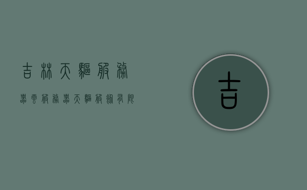吉林天驱服务器云服务器（天驱服饰有限公司），吉林天驱服务器云服务器，天驱服饰有限公司的技术力量与云服务展现，吉林天驱服务器云服务器，天驱服饰有限公司技术力量与云服务展现