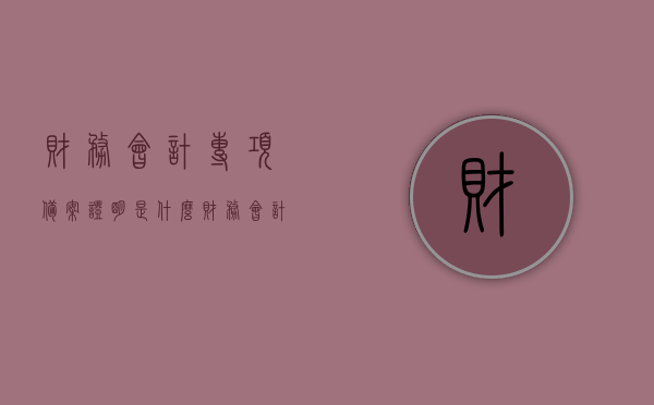 财务会计专项备案证明是什么（财务会计专项备案证明是什么样子的），关于财务会计专项备案证明的全面解析，定义、样式及应用场景探讨