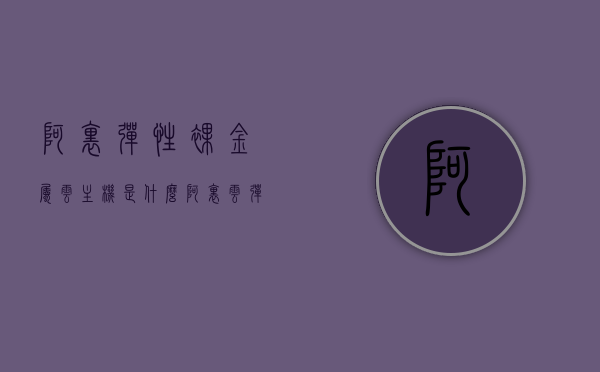 阿里弹性裸金属云主机是什么（阿里云弹性裸金属服务器支持的硬盘类型有），阿里弹性裸金属云主机详解，硬盘类型与特性解析