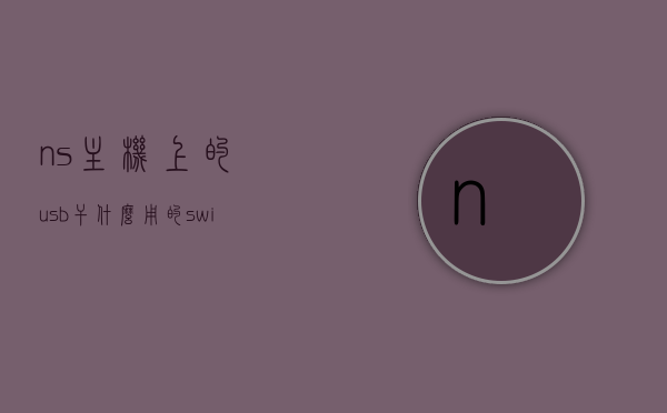 ns主机上的usb干什么用的（switch主机上的usb干嘛的），NS主机与Switch主机USB接口的功能与用途，NS与Switch主机USB接口的功能与用途解析