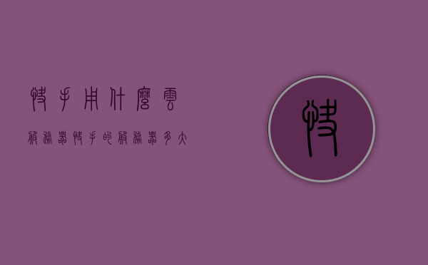 快手用什么云服务器（快手的服务器多大容量），快手云服务器选择与服务器容量揭秘，快手背后的技术支撑是什么？