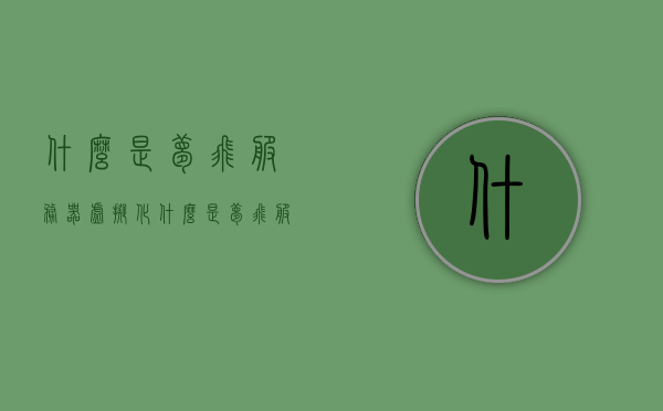 什么是梦飞服务器虚拟化（什么是梦飞服务器虚拟化服务），梦飞服务器虚拟化服务解析，虚拟化技术的深度应用