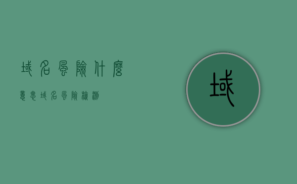 域名风险什么意思（域名风险检测），域名风险解析与检测，洞悉域名背后的安全隐患