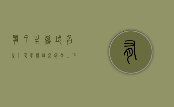 有了主机域名是什么（主机域名包含以下哪些内容），主机域名详解，包含哪些内容？，主机域名详解，构成与包含内容，主机域名的构成与详解，包含哪些内容及其详细解析