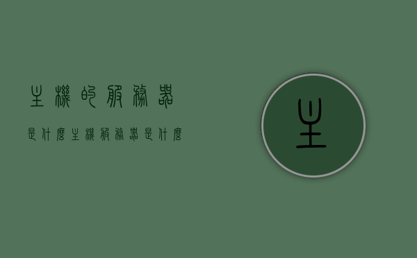 主机的服务器是什么（主机服务器是什么意思），主机服务器，定义与功能解析