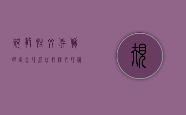规范性文件备案审查什么（规范性文件备案与审查），规范性文件备案审查详解，流程、内容与要点，规范性文件备案审查详解，流程、内容与要点全解析，规范性文件备案审查详解，流程、内容与要点全面解析