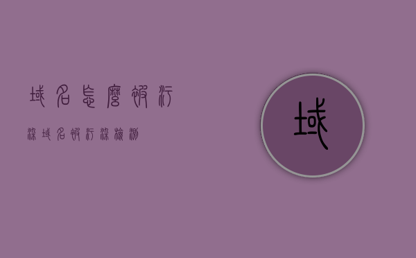 域名怎么被污染（域名被污染检测），域名污染揭秘，如何检测与应对域名被污染的风险