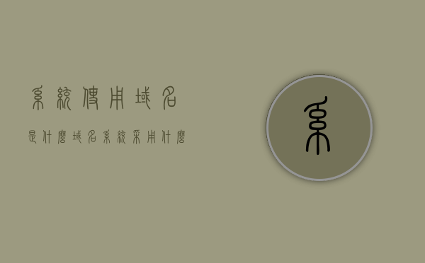系统使用域名是什么（域名系统采用什么），系统使用域名的解析与特点概述