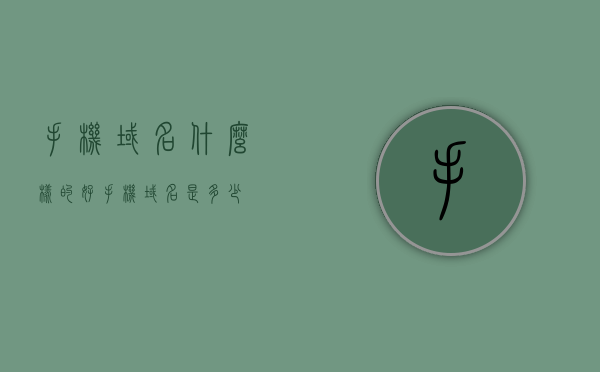 手机域名什么样的好（手机域名是多少），手机域名选择指南，如何挑选优质手机域名？，优质手机域名挑选指南，如何选出最佳的手机域名及其特点？