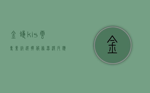 金蝶kis云专业版选择服务器没反应（金蝶kis云专业版服务器地址），金蝶kis云专业版服务器选择无响应问题及服务器地址解析