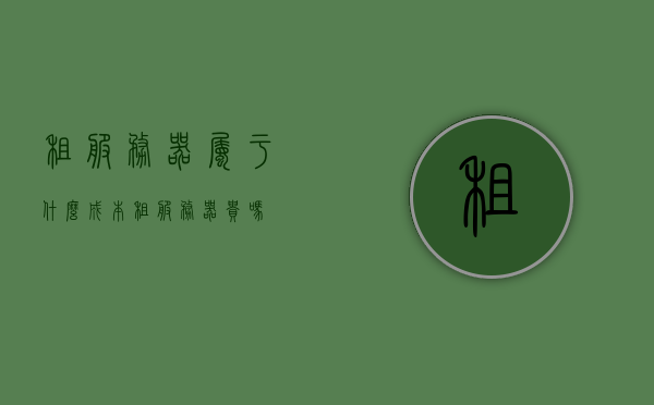 租服务器属于什么成本（租服务器贵吗），租服务器，成本与费用解析，租服务器成本与费用解析，探寻租赁费用及市场行情（租服务器贵不贵？），租服务器成本与费用深度解析，市场行情探寻及租赁费用探讨