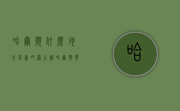 哈尔滨什么地方有卖吃鸡主机（哈尔滨买游戏机的实体店），哈尔滨游戏主机实体店，探寻卖吃鸡主机的地点，哈尔滨游戏主机实体店探秘，寻找卖吃鸡主机的地点，哈尔滨游戏主机实体店探秘，寻找卖吃鸡主机的地点，哈尔滨游戏主机实体店探秘，寻找卖吃鸡主机的地点，哈尔滨游戏主机实体店探秘，寻找卖吃鸡主机的最佳地点，哈尔滨游戏主机实体店探秘，寻找卖吃鸡主机的最佳地点，哈尔滨游戏主机实体店探秘，寻找卖吃鸡主机的最佳地点