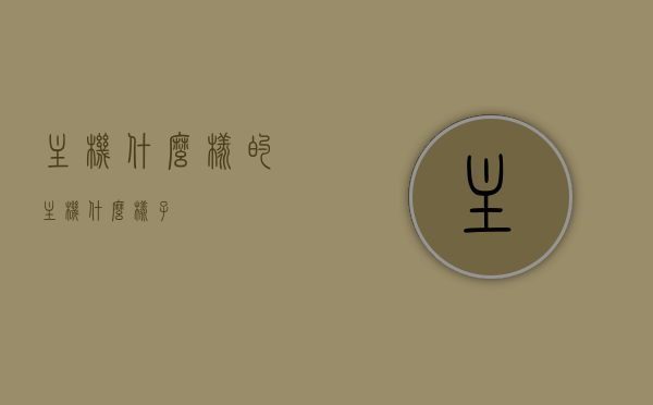 主机什么样的（主机什么样子），主机的外观与特点解析，主机外观与特点深度解析，探索主机的形态与特质，主机形态与特质深度解析，外观与特点全解析