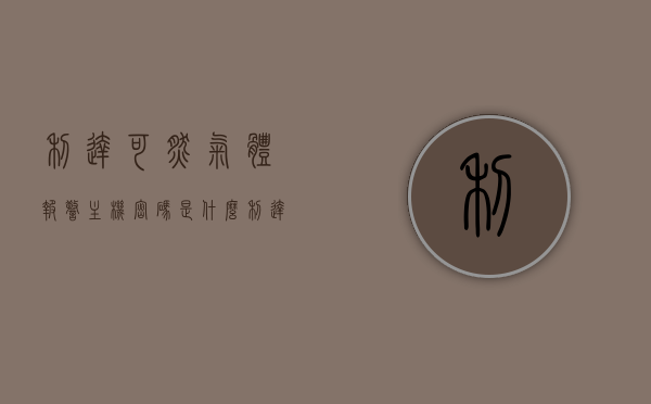 利达可燃气体报警主机密码是什么（利达燃气报警主机说明书），利达可燃气体报警主机密码及说明书详解，利达可燃气体报警主机密码及说明书详解解析