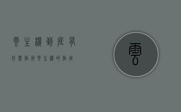 云主机到底有什么作用（云主机的作用），云主机的核心功能与实际应用解析