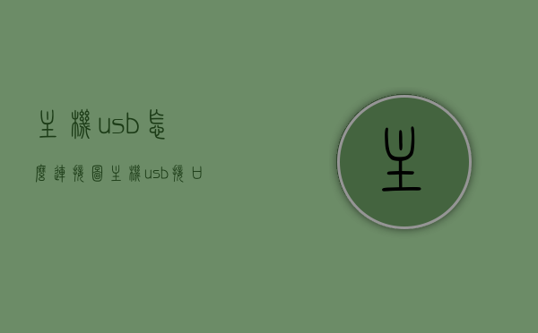 主机usb怎么连接图（主机usb接口怎么接），USB接口连接图解，主机USB接口连接方法与步骤解析，USB接口连接图解，主机USB接口连接方法与步骤解析教程，USB接口连接图解，主机USB接口连接方法与步骤解析教程，USB接口连接图解与解析，主机USB接口连接方法与步骤教程，USB接口连接图解，主机USB接口连接方法与步骤解析教程，主机USB接口连接方法与步骤图解教程，从连接图解析到实际操作指南，主机USB接口连接方法与步骤图解，从连接图解析到实际操作的全面指南