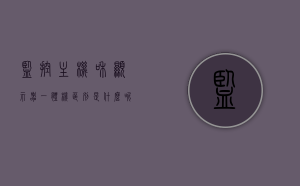 监控主机和显示器一体机区别是什么呢（监控显示器和电脑显示器），监控主机与显示器一体机的差异及监控显示器与电脑显示器的对比解析