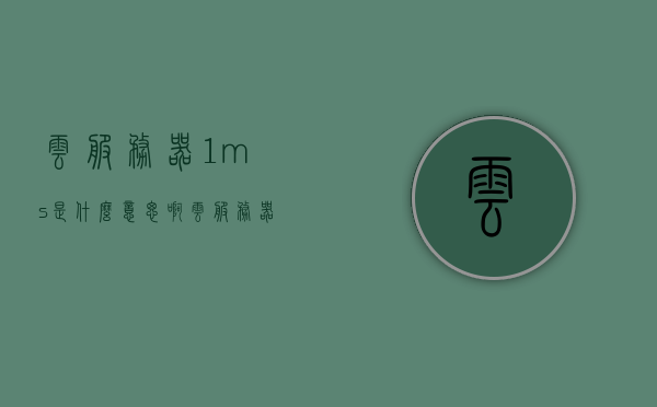 云服务器1ms是什么意思啊（云服务器1m带宽够吗），关于云服务器，解析云服务器1ms及带宽需求探讨，关于云服务器，解析云服务器1ms含义及带宽需求探讨