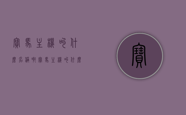 宝马主机叫什么名称啊（宝马主机叫什么名称啊英文），宝马主机名称及英文对照，宝马主机名称及英文对照揭秘，揭秘宝马主机名称及其英文对照，揭秘宝马主机名称及其英文对照，揭秘，宝马主机名称及其英文对照全解析，揭秘，宝马主机名称及其英文对照详解