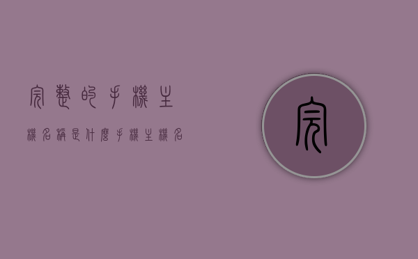 完整的手机主机名称是什么（手机主机名是啥），揭秘手机主机名称，完整名称大揭秘！，揭秘手机主机名称，完整名称大解密！，揭秘手机主机完整名称，全面解析手机主机名称大解密！，揭秘手机主机完整名称，全面解析手机主机名称的秘密！，揭秘手机主机完整名称，深度解析手机主机名称的秘密！，揭秘手机主机完整名称，深度解析手机型号与名称的秘密！