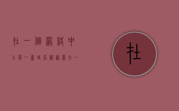 在一个网络中已有一台域名服务器（在一个网络中已有一台域名服务器怎么办），如何管理和利用已存在的域名服务器在网络中的作用？