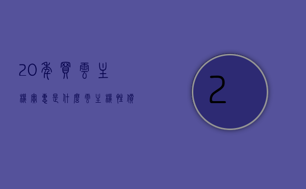 20年买云主机实惠是什么（云主机性价比），云主机性价比揭秘，二十年购买云主机的实惠之选，揭秘云主机性价比，二十年购买云主机的实惠之选与经验分享