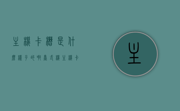主机卡槽是什么样子的啊（台式机主机卡槽），台式机主机卡槽的样式与特性解析，台式机主机卡槽的样式、特性解析与探究，台式机主机卡槽的样式、特性解析及探究，全面解析主机卡槽的样式与功能