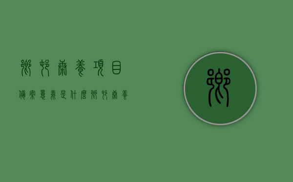乡村康养项目备案意义是什么（乡村康养项目可研报告），乡村康养项目备案的意义及其可行性研究报告解析