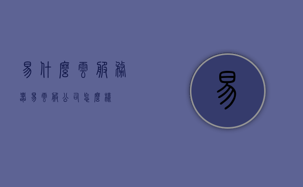 易什么云服务器（易云服公司怎么样），易云服务器解析，易云服公司的表现与评估