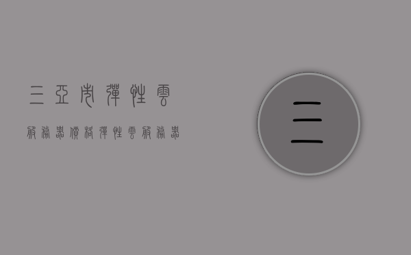 三亚市弹性云服务器价格（弹性云服务器的计费方式有哪些），三亚市弹性云服务器价格及计费方式解析