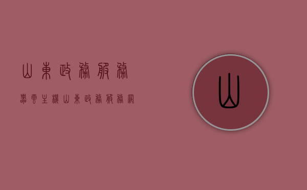 山东政务服务器云主机（山东政务服务网服务器异常），山东政务服务器云主机故障解析，政务服务网服务器异常分析，山东政务服务器云主机故障解析与政务服务网服务器异常分析