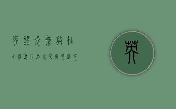 英语光盘放在主机里之后怎么办（英语光盘有什么用），英语光盘的使用指南，从插入主机到光盘的用途探索