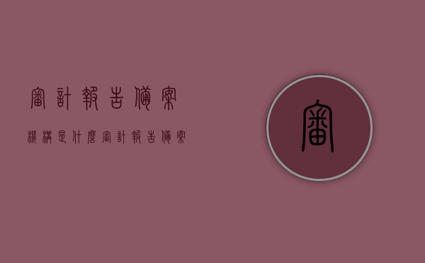 审计报告备案机构是什么（审计报告备案机构是什么机构），审计报告备案机构的介绍与职能解析，审计报告备案机构介绍与职能解析，究竟是什么样的机构？