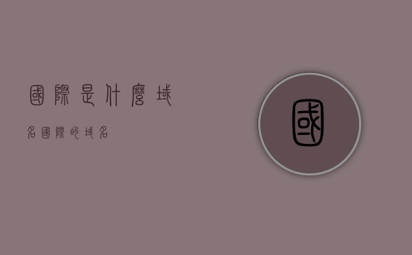 国际是什么域名（国际的域名），国际域名的概念与分类，国际域名概念解析，定义、分类及域名概述，国际域名的概念解析与分类，定义、概述及域名分类介绍