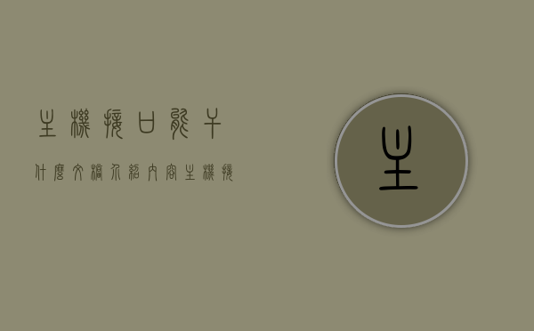 主机接口能干什么文档介绍内容（主机接口说明），主机接口功能详解，文档介绍与说明，主机接口功能详解，文档介绍与说明指南