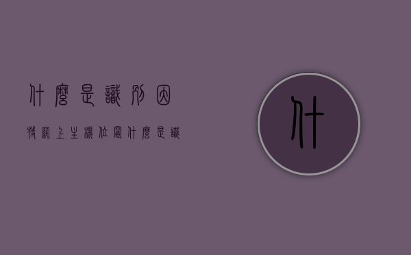 什么是识别因特网上主机位置（什么是识别因特网上主机位置的网络），识别因特网上主机位置的网络解析与原理探究