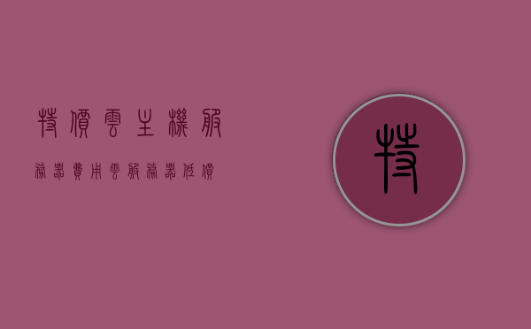 特价云主机服务器费用（云服务器 低价），特价云主机服务器费用解析，探寻云服务器低价策略的秘密