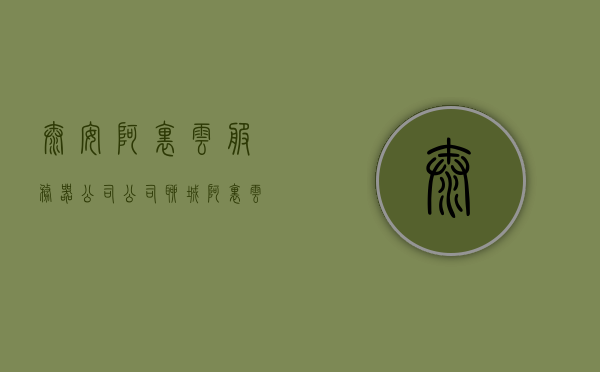 泰安阿里云服务器公司公司（聊城阿里云），泰安阿里云服务器公司与聊城阿里云的发展概况