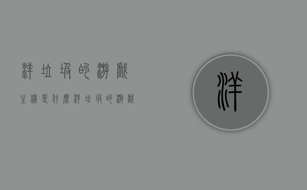 洋垃圾的游戏主机是什么（洋垃圾的游戏主机是什么牌子），洋垃圾游戏主机揭秘，品牌揭秘与深度解析