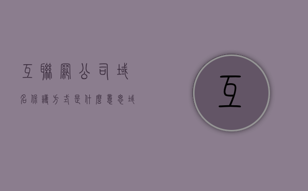 互联网公司域名保护方式是什么意思（域名保护的重要性），互联网公司域名保护方式解析，域名保护的重要性及其策略，互联网公司域名保护解析，域名保护的重要性及其策略与方式探讨，互联网公司域名保护解析，策略、方式及重要性探讨