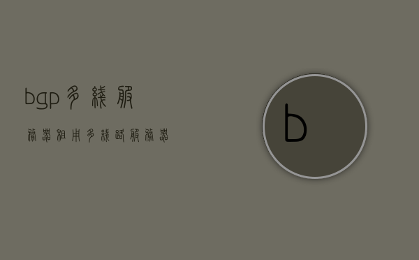 bgp多线服务器租用（多线路服务器），BGP多线路服务器租用，实现高效网络连接的优选方案