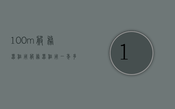 100m服务器租用（服务器租用一年多少钱），服务器租用费用揭秘，关于租用一台100m服务器的费用分析