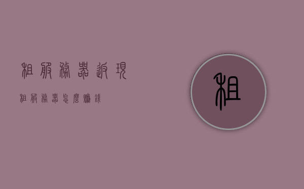 租服务器返现（租服务器怎么赚钱），租服务器返现策略与盈利指南